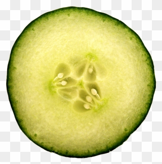 Cucumber Slice Hydrate Photo Pixabay - Cucumber Slice Png Clipart