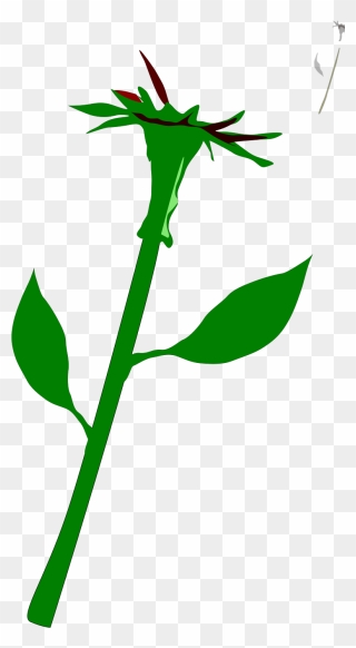 Stalk Of Flower Clipart