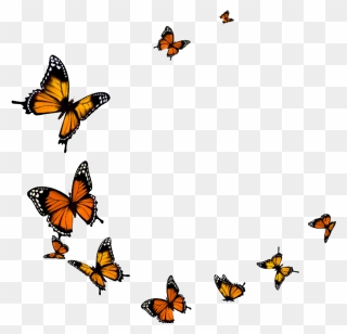Transparent Background Butterfly Png, Png Download - Flying Butterflies Transparent Background Clipart