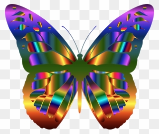 Real Rainbow Butterfly Clipart