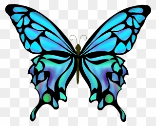 Drawing Butterfly Pictures With Color Clipart