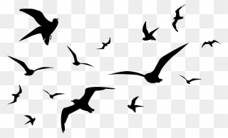 Seagulls Birds Silhouette Clipart - 鳥 の 群れ イラスト - Png Download