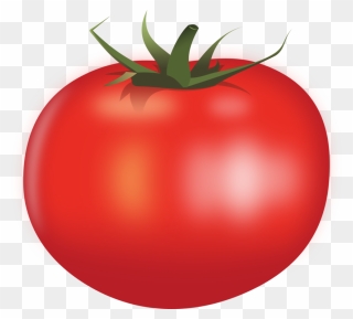 Tomato,plant,bush Tomato - Gambar Tomat Png Clipart
