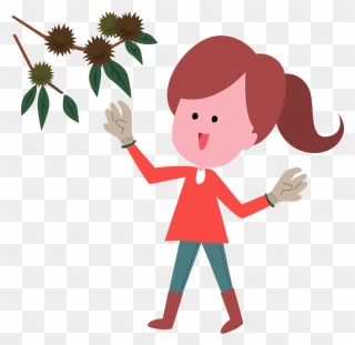 Japanese Chestnuts Woman Clipart - 栗 拾い フリー 素材 - Png Download