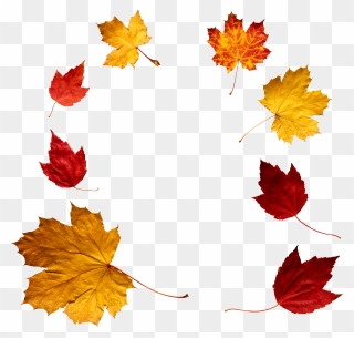 Leaf Circle Png - Overlay Falling Leaves Png Clipart