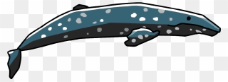 Humpback Whale Clipart Scribblenauts - Portable Network Graphics - Png Download