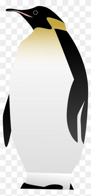 Transparent Bird Bird Penguin Flightless Bird Clipart - Crescent - Png Download