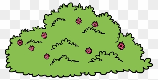 How To Draw Bush - Drawing Of A Bush Clipart