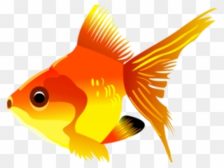 Tropical Fish Clipart Transparent Background - Transparent Background Fish Clipart - Png Download