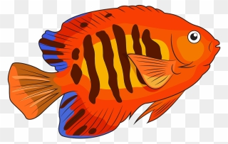 Flame Angelfish Clipart - Angelfish Clipart - Png Download