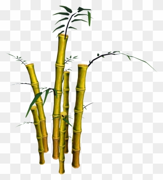 Transparent Bamboo Clipart - Bamboo Pngs