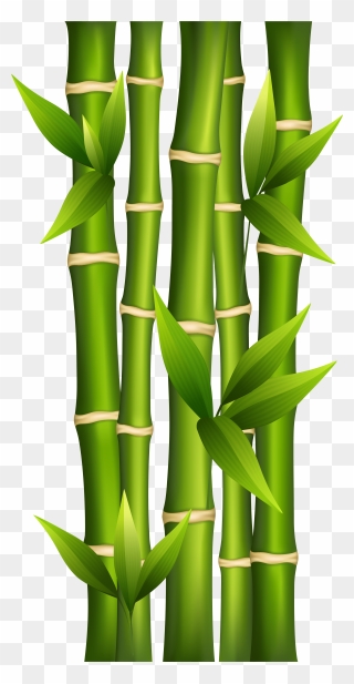 Bamboo Png Clipart Image - Bamboo Clipart Transparent Png