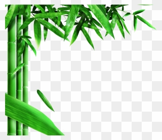 Transparent Bamboo Background Clipart - Png Download