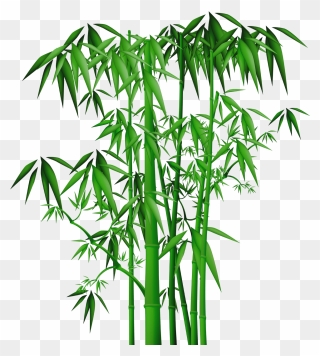 Bamboo Painting , Png Download - Bamboo Clipart Transparent Png