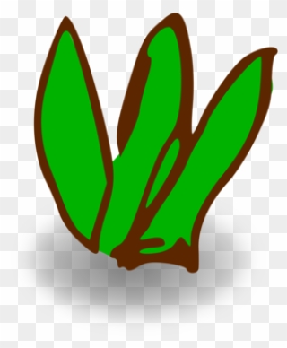 Plant,grass,leaf - Clip Art Small Bush - Png Download