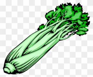 Celery Clipart - Png Download