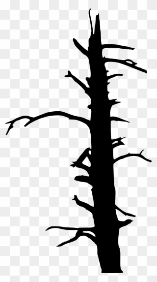 Transparent Background Burnt Trees Silhouette Clipart 5621482 Pinclipart