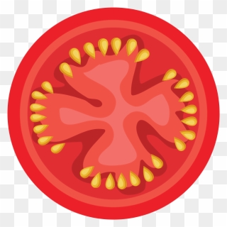 Drawing Of The Inside Of A Tomato - Circle Clipart