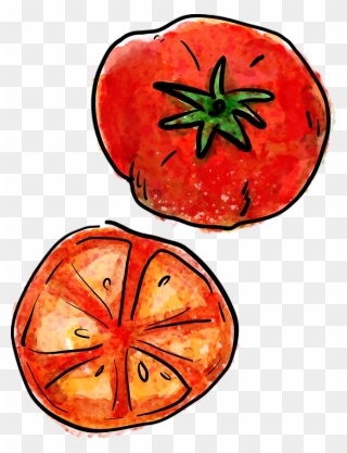 #tomato #tomatoes - Tomato Draw Png Clipart