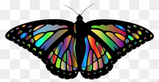 Rainbow Monarch Butterfly Png Clipart