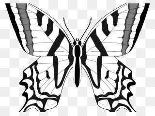 Monarch Butterfly Clipart Outline - Black And White Outline Of Butterfly - Png Download
