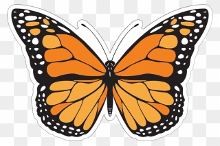 Butterfly Template Clipart