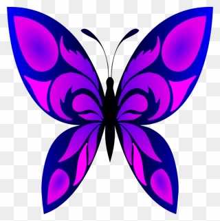 Butterfly And Designs Drawing Clipart