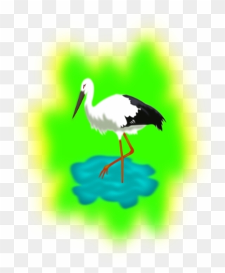 Stork Vector Crane Bird - Barza Clipart - Png Download