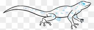How To Draw Lizard - Simple Lizard Draw Easy Clipart