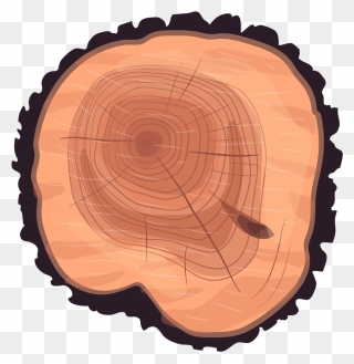 Wheel Eucalyptus Stump Tree Wood Trunk Clipart - Cartoon Tree Stump Top - Png Download