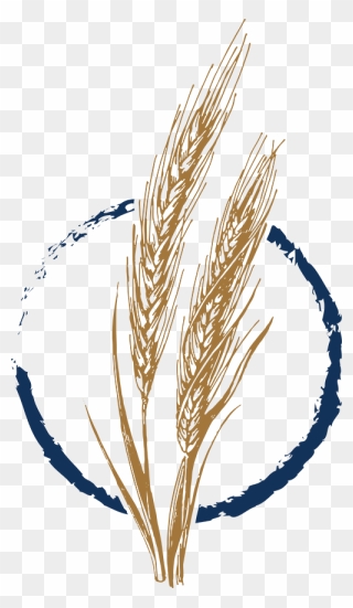 Wild Yeast Bakery Wheat Icon - Illustration Clipart