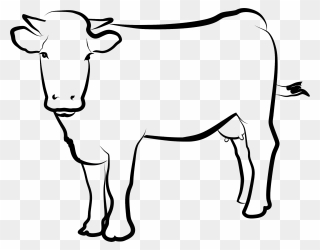 Pregnant Cow Clipart - Png Download