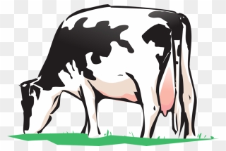 Null - Cow Grazing Clipart - Png Download