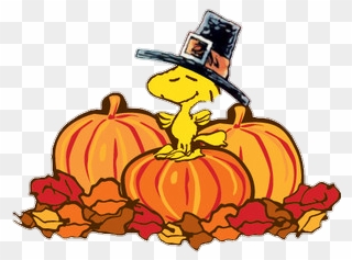 ##snoopy #thanksgiving #woodstock #pumpkins #fall #autumn - Thanksgiving Clipart Peanuts - Png Download