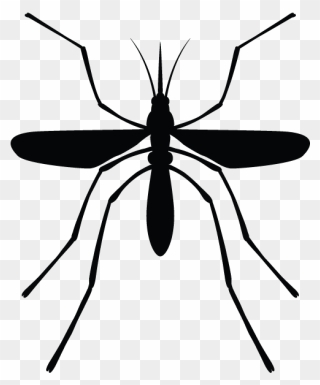 Mosquito Clipart Mosquito Control - Mosquito - Png Download