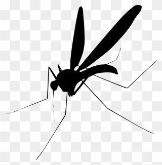 Mosquito Clip Art - Png Download
