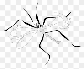 Mosquito Clip Art , Png Download - Mosquito Clip Art Transparent Png