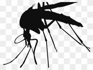Mosquito Png Transparent Images - Yellow Fever Clipart
