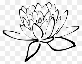Lake Clipart Pond Plant - Black And White Lotus Flower Clipart - Png Download