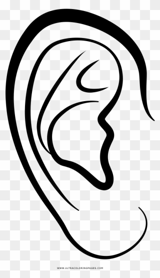 Clipart Ear Coloring - Ear Coloring - Png Download