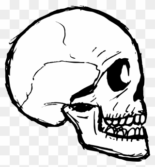 Transparent Skull Vector Png - Skull Doodle Png Clipart