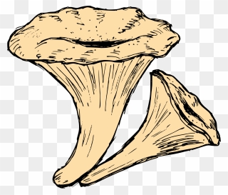 Mushroom Drawing 4 - Illustration Clipart