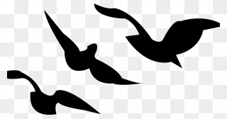 Divergent Ravens Tattoo Png - Divergent Png Clipart