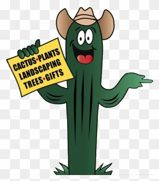 Transparent Potted Cactus Clipart - Cartoon - Png Download