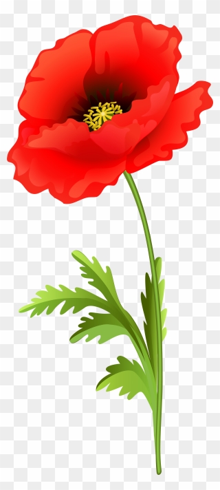 Poppy Flower Png Clip Art Image - Clip Art Poppy Transparent Png