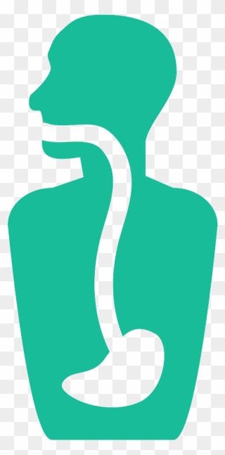 Esophageal Dilation In San Antonio - Digestive Icon Png Clipart