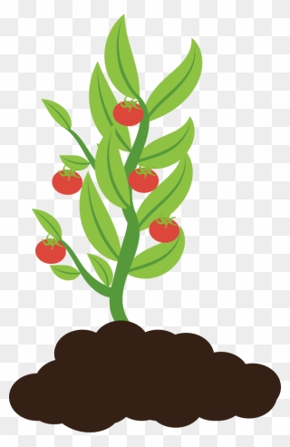 Clip Art - Png Download