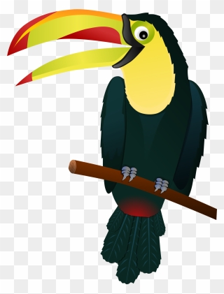 Toucan Clipart Beak - Tropical Bird Clipart - Png Download