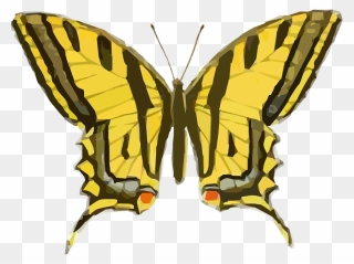 Tiger Woods Clipart Png - Vintage Yellow Butterfly Png Transparent Png