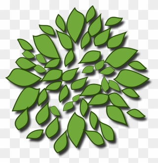 Green Leaves - Trees Top Icon Png Clipart